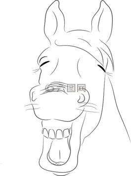 馬,笑,搞笑
