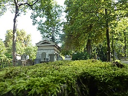 墳場,泡沫,瀑布