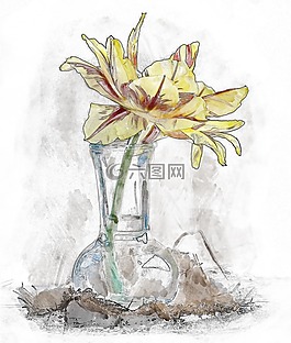 花,花瓶,郁金香