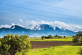 綠色,草,原野