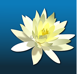 花,百合,植物