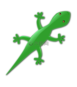 動(dòng)物,壁虎,蜥蜴