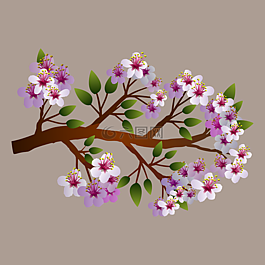 花的,鮮花,自然