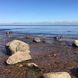 海島,天際線,風(fēng)景