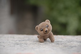 承担,玩具,柔情