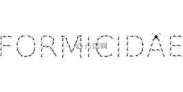 螞蟻,生物學,家庭