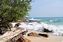 海灘,海,沙