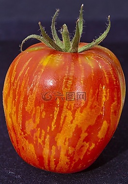 性質(zhì),番茄,蔬菜