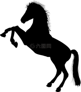 動(dòng)物,黑,馬