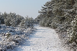 雪,該,路徑