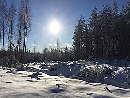 太陽(yáng),雪,冬天