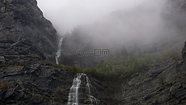 大瀑布,綠色,樹