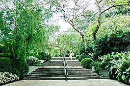 新加坡,植物园,步骤