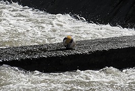水,橋,網站