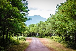 景觀,路,鐵路