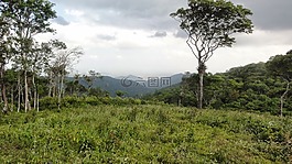 性質,塞拉,山