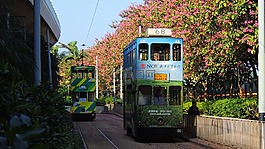 香港郵政,電車,城市