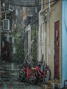 雨,自行車,濕