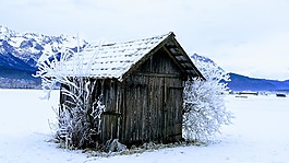 雪,冬天,冷