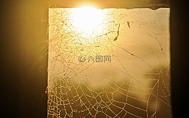蜘蛛网,湿,水滴