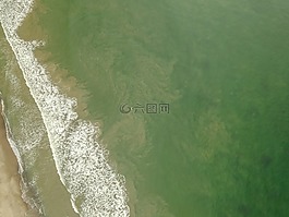 海,海洋,綠色