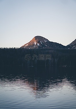 湖,水,樹