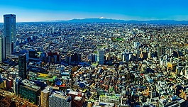 東京,日本,全景圖