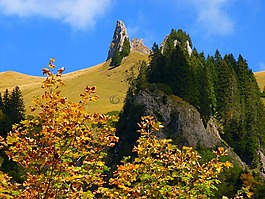 景观,山,岩