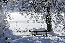 雪,冬天,冷