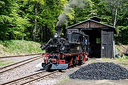 蒸汽機車,歷史,機車