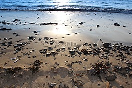 海灘,海濱,沙