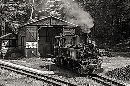 蒸汽機車,歷史,機車