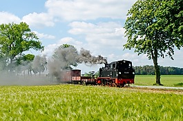 蒸汽機車,歷史,機車