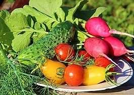 食品,西紅柿,蔬菜