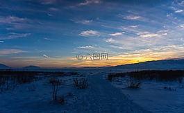 雪,冬天,冷