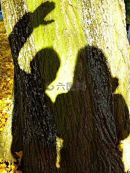 影子,大綱,光