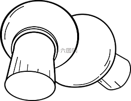 蘑菇,蔬菜,食品