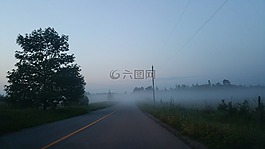 有霧,路,戶外