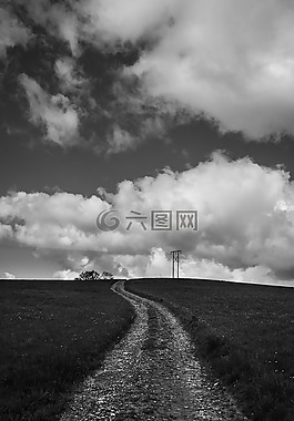 黑色和白色,灰度,查看
