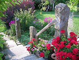 紅色花,花園,性質(zhì)