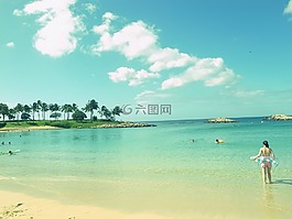海,夏威夷,夏天