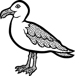 動物,鳥,鷗