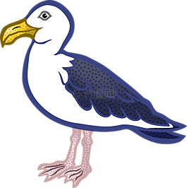 動物,鳥,鷗