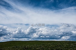 地平線,綠色,草