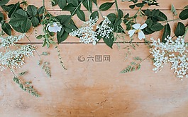 木,表,绿色