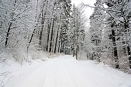 冬天,雪,冷