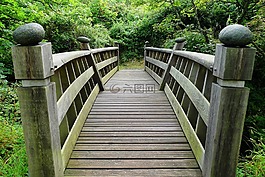 橋,木,木材