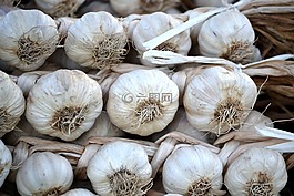 大蒜,白,蔬菜