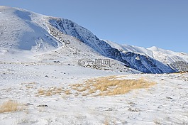 高原,山,草