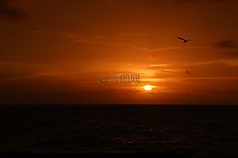 日落,暮光之城,太陽